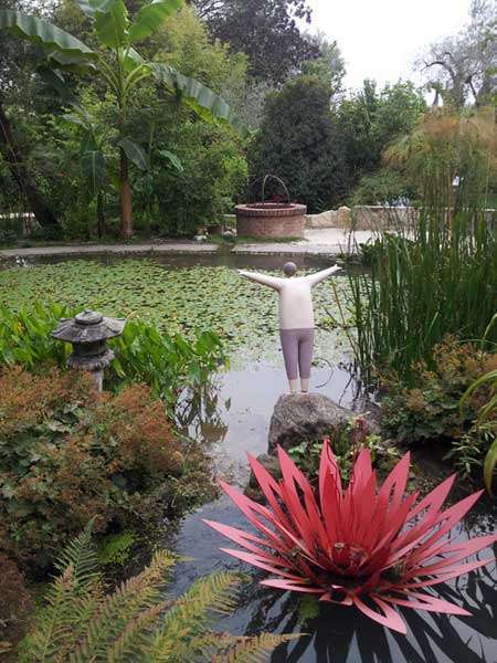Pond covered in water lilles at Kew Gardens
